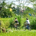 Bali Bike 18