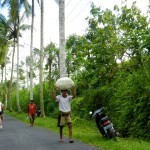 Bali Bike 25