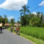 Bali Bike 34
