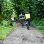 Bali Bike 36