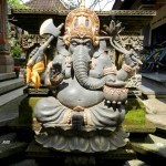 Bali Bike 47