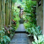 Tirta Ganga and Tenganan 15
